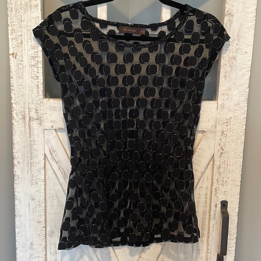 Woman’s The Limited Stylish Sheer Top